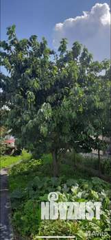 Дом 60м², 2-этажный, участок 6 сот.  