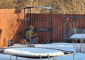 Дом 36м&sup2;, 1-этажный, участок 6 сот.  