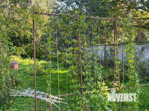 Дом 143м², 2-этажный, участок 12 сот.  