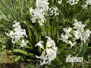 Дом 25м&sup2;, 1-этажный, участок 6 сот.  