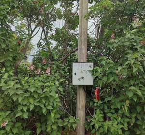 Дом 30м&sup2;, 2-этажный, участок 7 сот.  