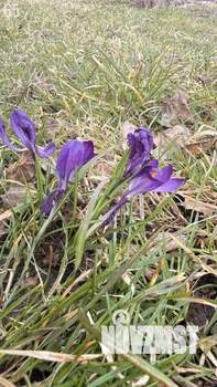 Дом 10м&sup2;, 1-этажный, участок 5 сот.  