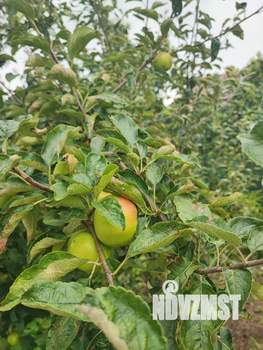 Дом 260м², 3-этажный, участок 8 сот.  