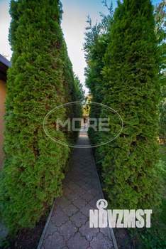 Дом 95м&sup2;, 2-этажный, участок 6 сот.  