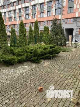 Дом 217м², 2-этажный, участок 4 сот.  