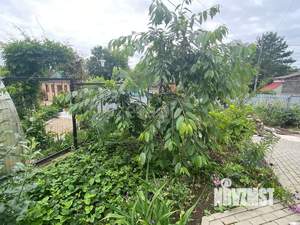 Дом 206м&sup2;, 2-этажный, участок 7 сот.  