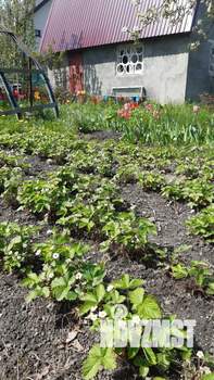 Дом 24м², 1-этажный, участок 6 сот.  