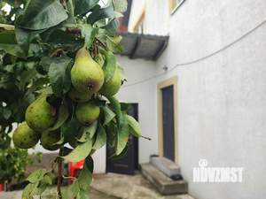 Дом 260м², 3-этажный, участок 8 сот.  