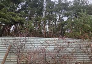 Дом 51м&sup2;, 2-этажный, участок 5 сот.  