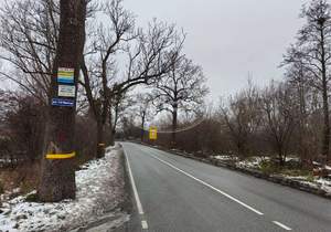 Дом 19м², 1-этажный, участок 3 сот.  