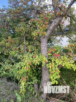 Дом 123м&sup2;, 2-этажный, участок 9 сот.  