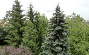 Дом 369м², 3-этажный, участок 12 сот.  