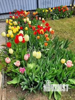 Дача 123м², 2-этажный, участок 8 сот.  