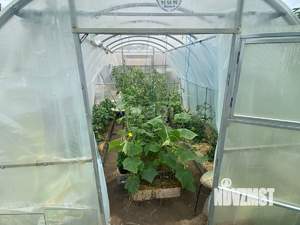 Дом 206м&sup2;, 2-этажный, участок 7 сот.  