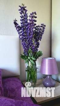 3-к квартира, посуточно, 59м2, 5/9 этаж