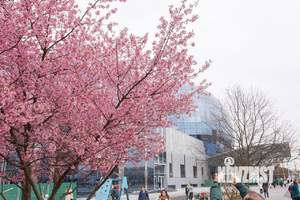 1-к квартира, посуточно, 44м2, 1/1 этаж