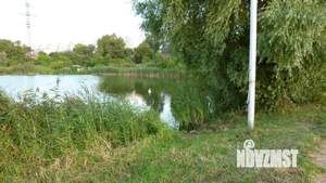 Студия квартира, на длительный срок, 24м2, 2/5 этаж