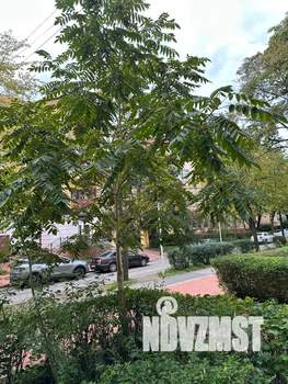 1-к квартира, посуточно, 40м2, 1/5 этаж