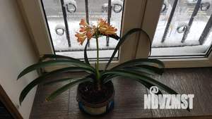 2-к квартира, посуточно, 58м2, 1/1 этаж