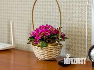 Студия квартира, посуточно, 25м2, 1/5 этаж