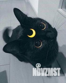 1-к квартира, на длительный срок, 32м2, 5/10 этаж