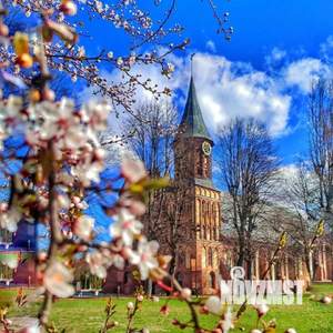 1-к квартира, на длительный срок, 50м2, 5/9 этаж