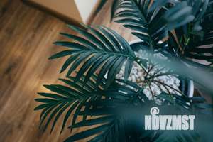 2-к квартира, посуточно, 86м2, 1/1 этаж