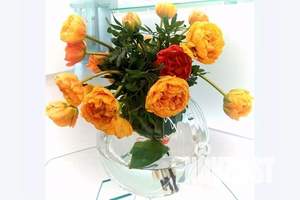 2-к квартира, посуточно, 40м2, 2/3 этаж