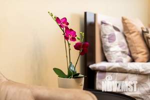 1-к квартира, посуточно, 40м2, 4/17 этаж