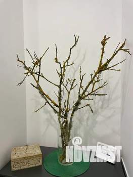 1-к квартира, посуточно, 42м2, 9/12 этаж