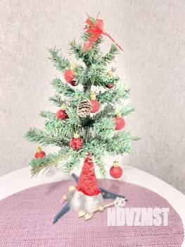 1-к квартира, посуточно, 20м2, 11/11 этаж