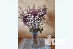 2-к квартира, посуточно, 52м2, 5/6 этаж