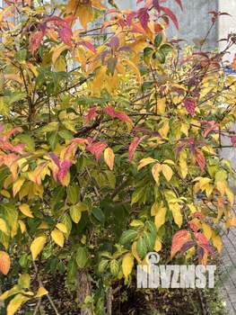 1-к квартира, на длительный срок, 35м2, 7/11 этаж