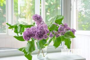 2-к квартира, посуточно, 45м2, 2/5 этаж