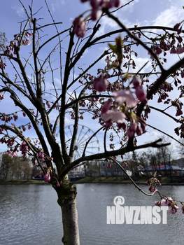 2-к квартира, на длительный срок, 50м2, 4/5 этаж