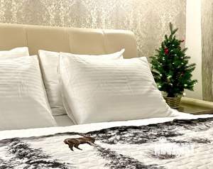 3-к квартира, посуточно, 70м2, 1/1 этаж