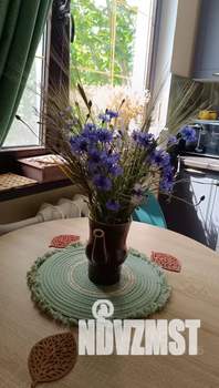 2-к квартира, посуточно, 51м2, 2/9 этаж