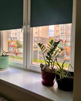 3-к квартира, на длительный срок, 80м2, 1/9 этаж