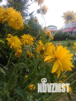 1-к квартира, посуточно, 32м2, 1/4 этаж