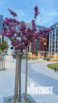 1-к квартира, на длительный срок, 45м2, 1/8 этаж