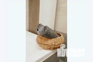 2-к квартира, посуточно, 88м2, 4/10 этаж