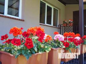 3-к квартира, посуточно, 85м2, 1/2 этаж