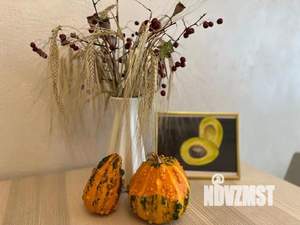 1-к квартира, посуточно, 75м2, 1/1 этаж