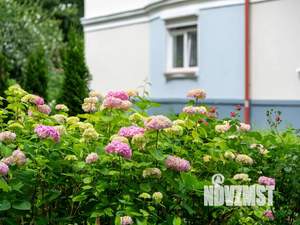 1-к квартира, посуточно, 39м2, 2/4 этаж