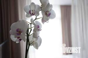 1-к квартира, посуточно, 45м2, 9/9 этаж