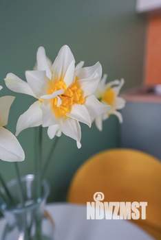 1-к квартира, посуточно, 16м2, 1/1 этаж