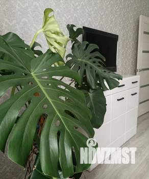 2-к квартира, посуточно, 58м2, 2/8 этаж