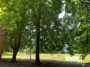 2-к квартира, на длительный срок, 55м2, 5/9 этаж