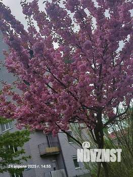 2-к квартира, на длительный срок, 55м2, 1/3 этаж