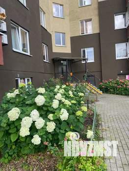 2-к квартира, посуточно, 58м2, 9/9 этаж